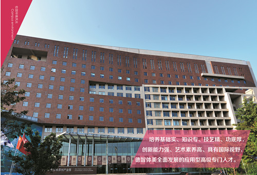 网站1.jpg